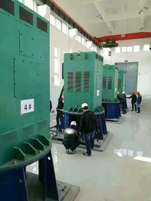 兴山某污水处理厂使用我厂的立式高压电机安装现场